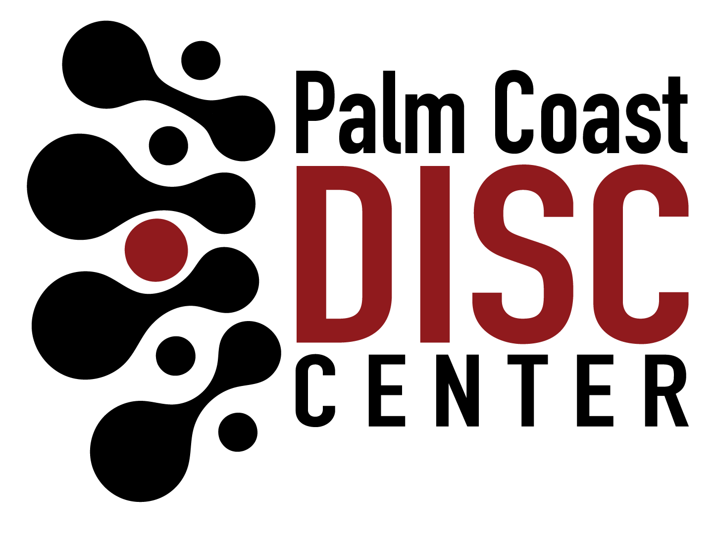 Palm Coast Disc Center